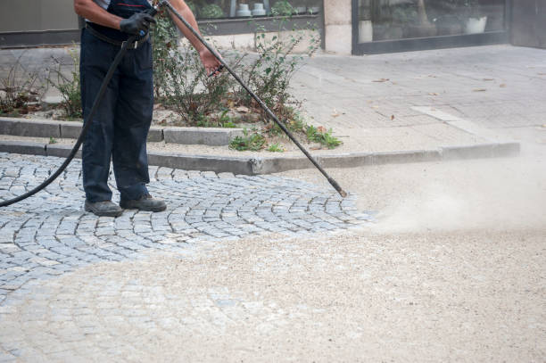Animal Enclosure Cleaning in Newcomerstown, OH